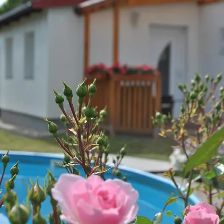 Ferienwohnung Levin Dargun Buitenkant foto